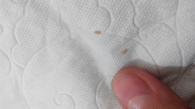 Эмма Старлетто выдала фишку съев из жопы сперму ложкой