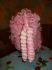 attached-photo