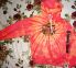 attached-photo