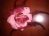 attached-photo