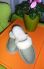 attached-photo