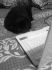 attached-photo