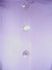 attached-photo