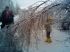 attached-photo