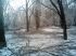 attached-photo