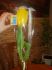 attached-photo