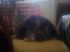 attached-photo