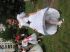 attached-photo