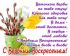 attached-photo