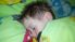 attached-photo