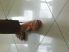 attached-photo