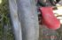attached-photo