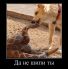 attached-photo