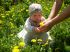 attached-photo