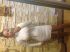 attached-photo