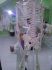 attached-photo