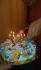 attached-photo