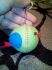 attached-photo