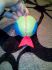 attached-photo