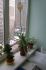 attached-photo