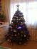 attached-photo