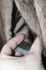 attached-photo