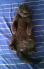attached-photo