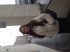 attached-photo