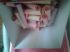 attached-photo