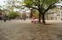 attached-photo