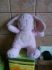 attached-photo