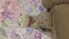attached-photo