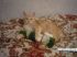 attached-photo
