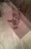 attached-photo