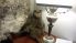 attached-photo
