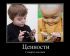 attached-photo