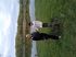 attached-photo