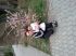 attached-photo
