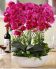 attached-photo