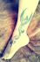 attached-photo