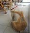 attached-photo