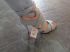attached-photo
