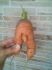attached-photo