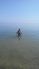 attached-photo