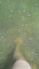 attached-photo