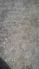 attached-photo