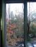 attached-photo