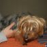 attached-photo