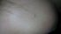 attached-photo