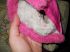 attached-photo